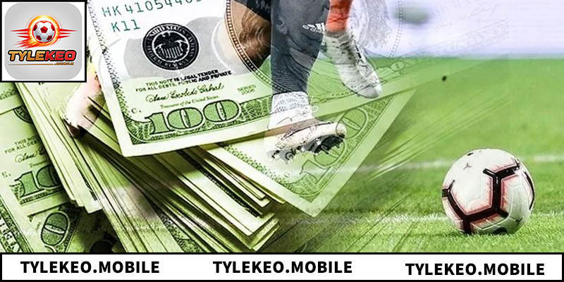 Bí quyết giúp theo dõi vòng 1/8 hữu hiệu