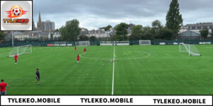 Football Pitch - Khái Niệm Và Tiêu Chuẩn Sân Bóng Đá
